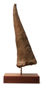 A LARGE TRICERATOPS HORN