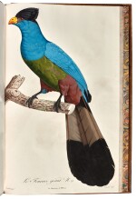 François Levaillant | Histoire naturelle des promerops et des guepiers, Paris, 1807, marbled calf gilt