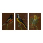 CONTINENTAL SCHOOL, 19TH CENTURY | BIRDS: A SET OF THREE PAINTINGS