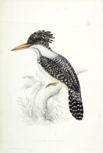 John Gould | A century of birds from the Himalayan mountains, 1831, 2 volumes