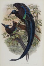 SHARPE, RICHARD BOWDLER | Monograph of the Paradiseidae, or Birds of Paradise, and Ptilonorhynchidae, or Bower-Birds. London: Henry Sotheran & Co. [printed by Taylor and Francis], 1891-1898