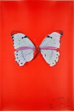 Untitled (Red Butterfly)