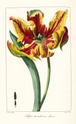 Mordant de Launay and Loiseleur-Deslongchamps | Herbier général de l'amateur, [1810]-1827, 8 volumes
