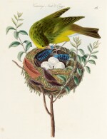 James Bolton | Harmonia ruralis... on British song birds, London, 1845, half morocco