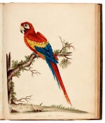 HAYES, W. | Portraits of Rare and Curious Birds, London 1794