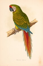 GREENE | Parrots in Captivity, 1884-1887