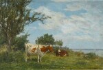Vaches au pré environs d’Honfleur