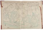 (New York) | Attractive lithographed maps of Nassau County
