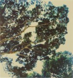 Tree (I)