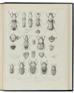 F. du Cane Godman & others | Biologia Centrali-Americana: Coleoptera. London, 1881-1911, 7 volumes in 18