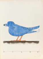 Oiseau bleu