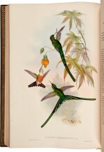 John Gould | A monograph of the trochilidae, or… humming-birds [with supplement]. London, 1849–1887, 6 volumes