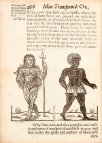 Bulwer | A view of the people of the whole world, 1654