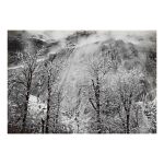 'Trees And Cliffs of Eagle Peak, Winter' (horizontal)