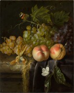 Still life of fruit, with peaches and grapes arranged on a velvet draped stone ledge, with butterflies