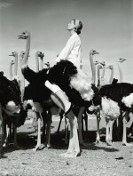 NORMAN PARKINSON | Wenda and Ostriches, 1951