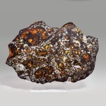 Complete Slice Of A Seymchan Meteorite — Extraterrestrial Gemstones In Natural Metallic Matrix