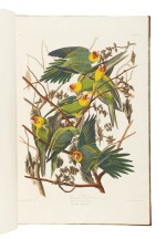 JOHN JAMES AUDUBON | The Birds of America; from Original Drawings by John James Audubon. London: Published by the Author, 1827–1838