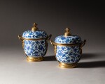 A pair of gilt-bronze mounted Chinese porcelain covered vases, Kangxi Period (1662-1722) and French Régence, circa 1720 | Paire de vases couverts en porcelaine de Chine bleu et blanc d’époque Kangxi (1662-1722) et monture de bronze doré d'époque Régence, vers 1720