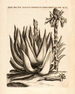 Caspar Commelin | Praeludia botanica. Leiden, 1703, first edition, 4to, contemporary speckled calf