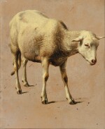  EUGÈNE-JOSEPH VERBOECKHOVEN | STUDY FOR A SHEEP