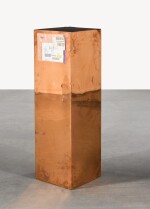 Copper (FedEx? Golf-Bag Box ?2010 FedEx 163166 REV 10/10) Standard Overnight, Los Angeles-Phoenix, trk#798597005360, April 21 - 2014, 2013