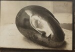 La Muse endormie, bronze poli, vers 1910