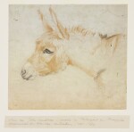 CIRCLE OF JOHN GEORGE LANDSEER A.R.A. | Study of a donkey
