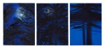 Triptych (Night Pines, Fall 2007), 2007