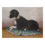 CONTINENTAL SCHOOL, 19TH CENTURY | POODLE ON A BLANKET