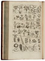 John Hill | The Vegetable System. London, 1761-1775, 20 volumes bound in 13, folio, contemporary calf