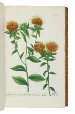 Weinmann, Johann Wilhelm | The first botanical book to use color-printed mezzotint successfully, the de Belder-Von Hoffman copy