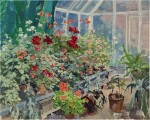 PETER WILLIAMS | IN THE GREENHOUSE