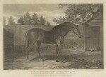 [SPORTING] | The American Turf Register and Sporting Magazine. Baltimore: J.S. Skinner, 1830-1838; New York: Spirit of the Times, 1839-1843