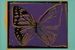 Butterfly (Feldman & Schellmann. IIIB. 64(a))