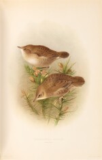 H. Eliot Howard | The British warblers, 1907-1914, 2 volumes