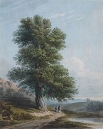 JOHN VARLEY, O.W.S. | A study of a tree in an open landscape