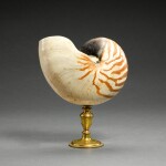Probably Italian, late 17th century | Nautilus Cup