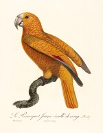 Levaillant. Histoire naturelle des perroquets. 1801-[1805]. 2 volumes, folio, green tinted boards