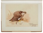 Archibald Thorburn | An album containing eight original drawings of birds of prey