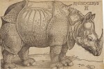 The Rhinoceros (B. 136; M., Holl. 241)