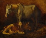 Horse and cow
