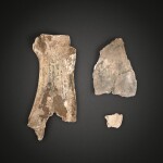 A group of three oracle bones with inscriptions, Late Shang dynasty | 商末 甲骨刻辭一組三片
