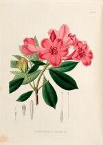 Thomas Horsfield | Plantae javanicae rariores, London, 1838-52, contemporary green half morocco