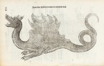 [Œuvres]. Bologne, 1639-1649. 13 vol. in-folio. Rarissime réunion de l'intégralité des œuvres d'Aldrovandi.