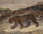 Jaguar in a Mountain Landscape