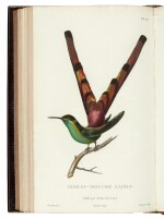 René Lesson | Histoire naturelle des oiseaux-mouches. Paris, [1829–1830], plates in two states, fine copy 