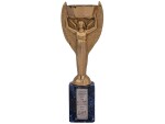 1970 World Cup Jules Rimet Trophy Presented to Pele