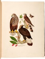 Captain Thomas Brown | Illustrations of the American ornithology. Edinburgh, [1831]-1835, the dedicatee’s large-paper copy with superior colour