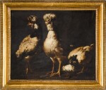  Pietro Neri Scacciati, Three black and white crested fowls